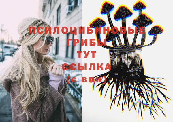 spice Алексин